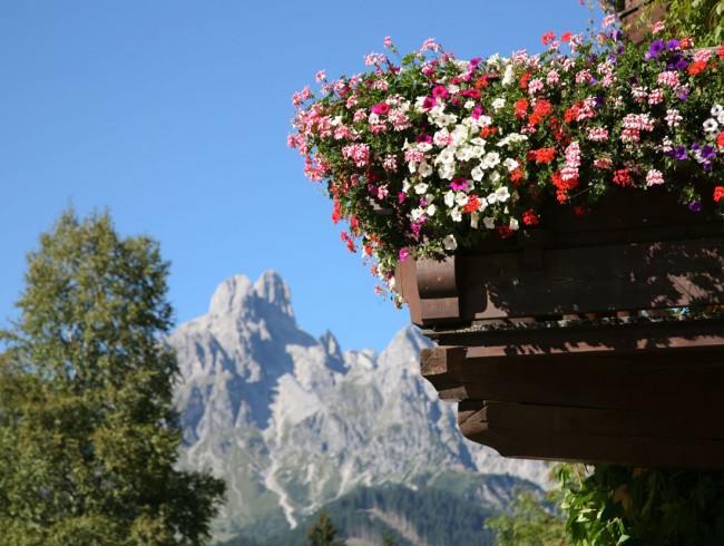 Üppiger Blumenschmuck im Appartement Gästehaus Kirchgasser mit Blick auf die Bischofsmütze